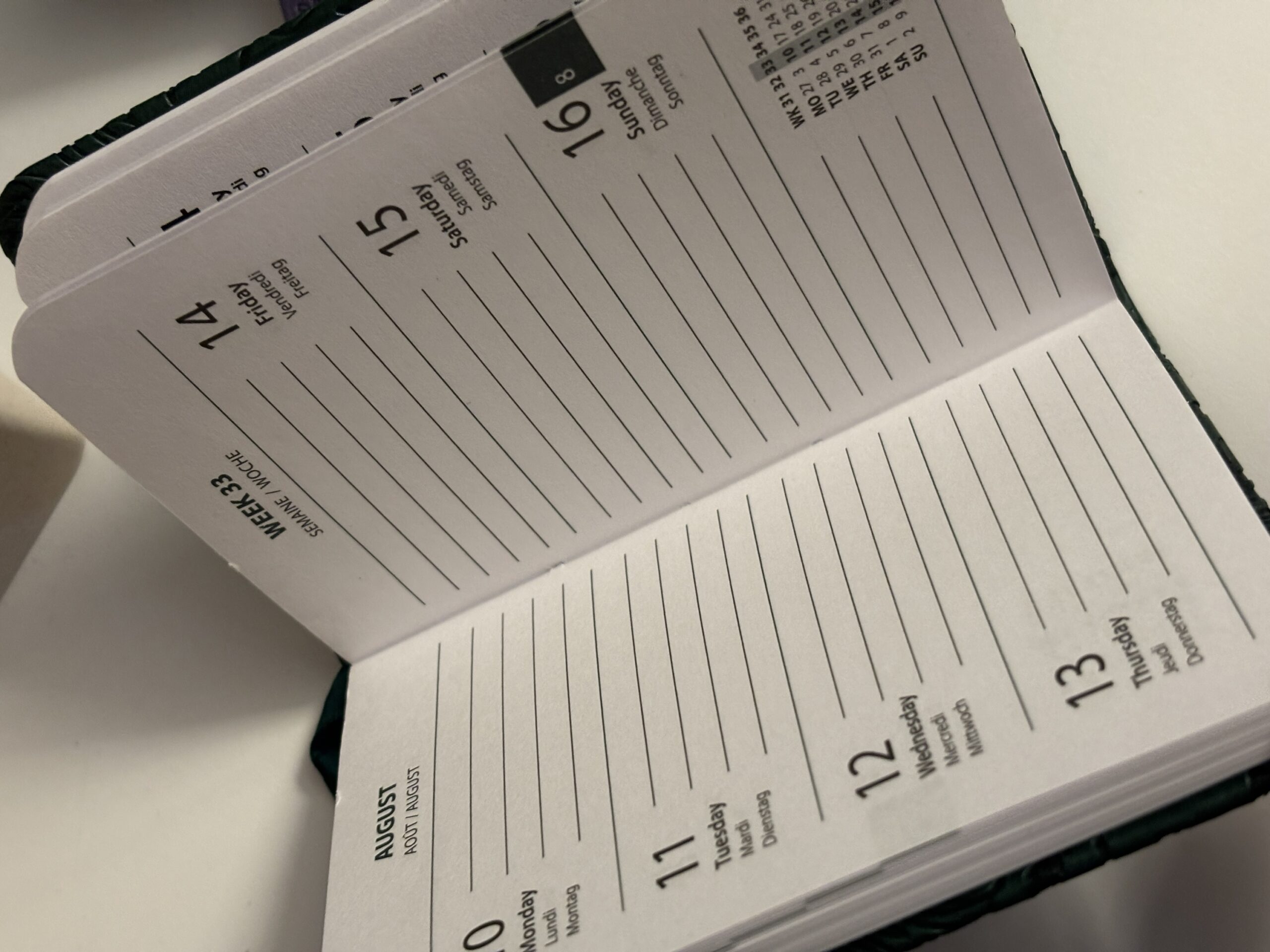 AGENDA 2026 A6 - Imagen 5